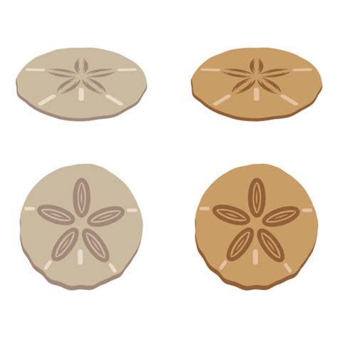 200+ Sand Dollar Stock Illustrations, Royalty.